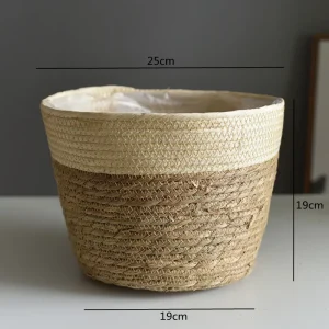 Beige Farbe L
