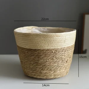 Beige Farbe M