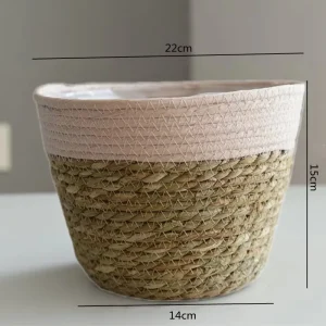 Rosa M