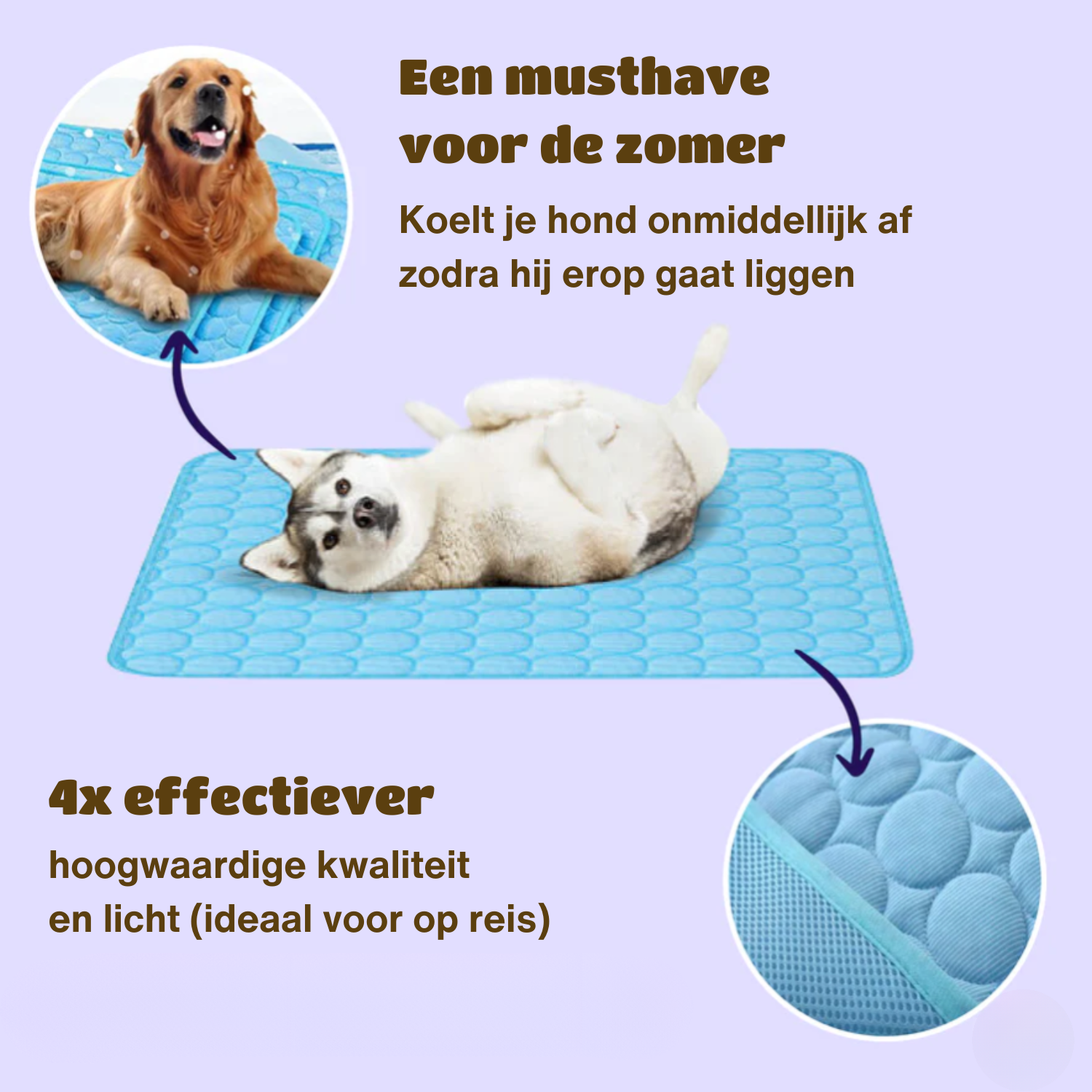 Kühlende Hundematte für heiße Sommertage – Bild 10