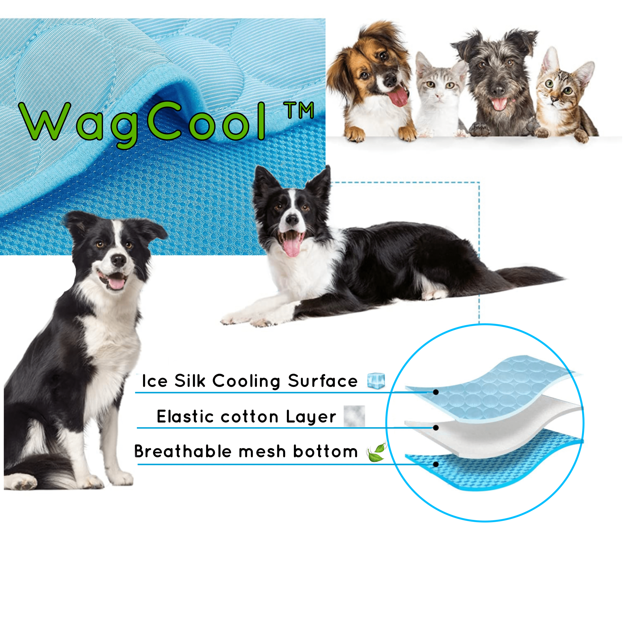 Kühlmatte für Hunde & Katzen | Druckaktiviert & Eisseide – Bild 6