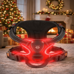 Hundegeschirr LED No-Pull USB aufladbar Nachtsicht