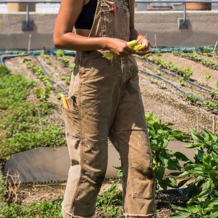 CALORA_Eend-Bib-Overall-Canvas-Werkoutfit-Dungarees-met-Verstelbare-Banden-1
