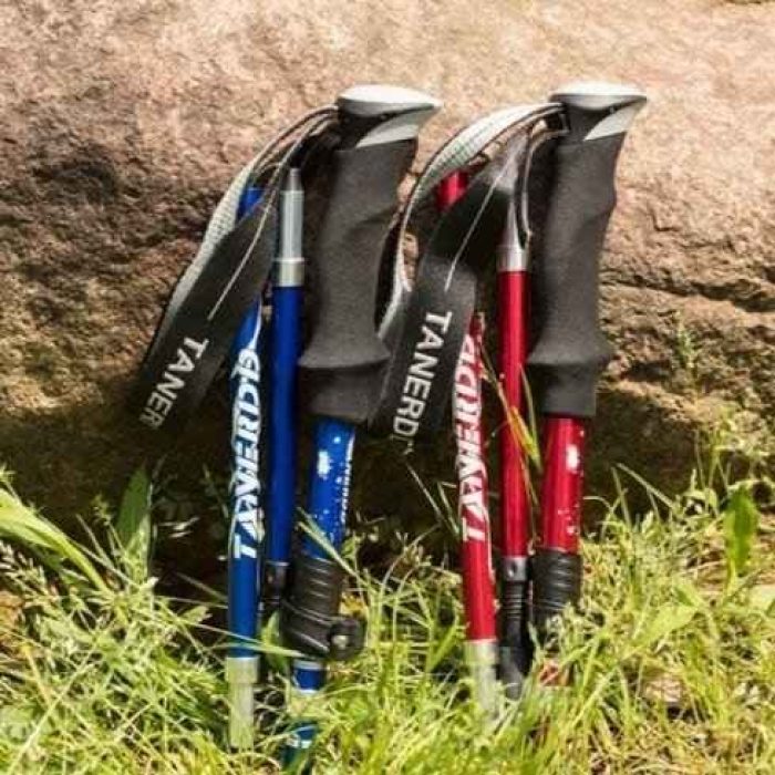 TrailEase__Lightweight_Adjustable_Walking_Stick_1