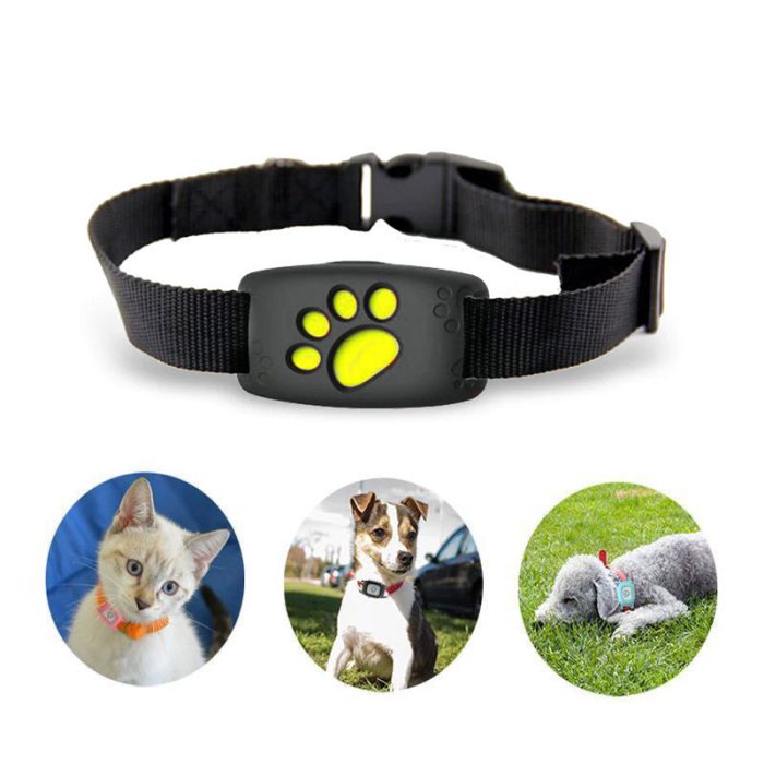 black_gps_cat_new